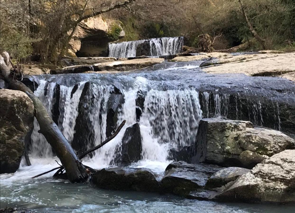 B&B Il Grifo Bomarzo Bagian luar foto
