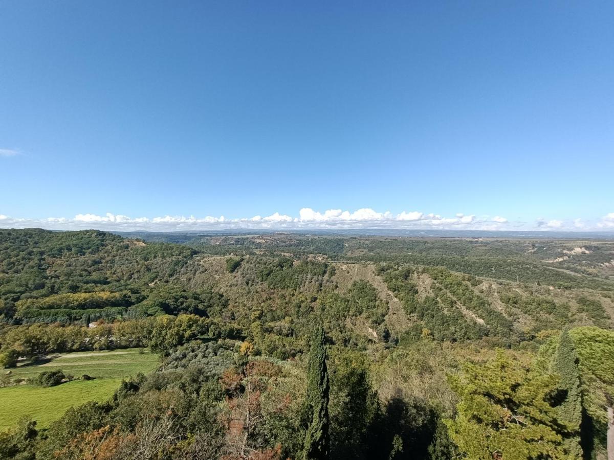B&B Il Grifo Bomarzo Bagian luar foto