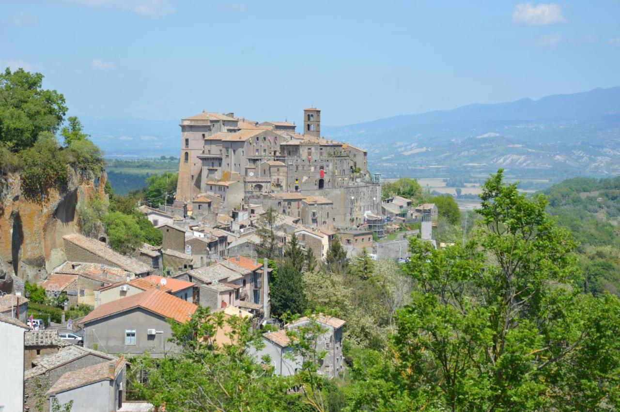 B&B Il Grifo Bomarzo Bagian luar foto
